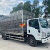 Xe Isuzu NQR550 5T Thùng Chở Gia Cầm