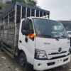 Xe Hino XZU720L Thùng Chở Gia Cầm 196 Lồng
