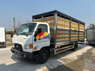 Những Mẫu Xe Tải Chở Gia Cầm Bán Chạy Nhất 2026